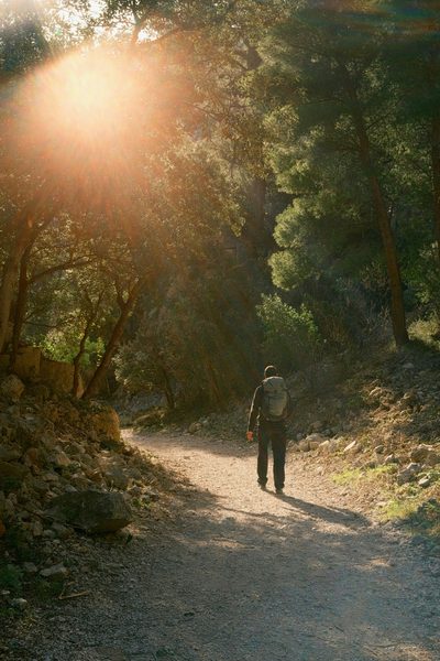 Naturspaziergang — Bewegung als Gehirntraining